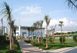 ½Éõij³ª´Ù±¹Á¦Çб³-The International School of Sino-Canada